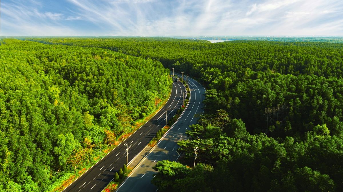 Điều khoản sử dụng